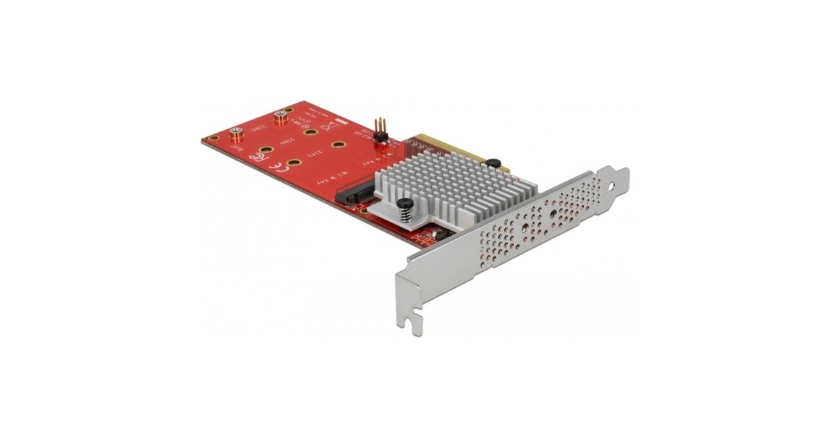 Delock Carte Et Adaptateur D Interfaces Interne M Pcie M