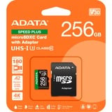 ADATA UD256GUI3V30A2SP-RA1, Carte mémoire 