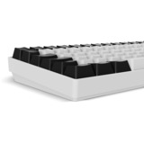 Sharkoon clavier gaming Blanc, Layout DE, Gateron Brown