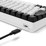 Sharkoon clavier gaming Blanc, Layout DE, Gateron Brown