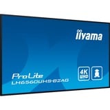 iiyama LH6560UHS-B2AG, Affichage public Noir (Mat)