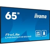 iiyama LH6560UHS-B2AG, Affichage public Noir (Mat)