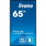 iiyama LH6560UHS-B2AG, Affichage public Noir (Mat)