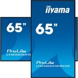 iiyama LH6560UHS-B2AG, Affichage public Noir (Mat)