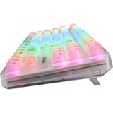 Sharkoon clavier gaming Blanc, Layout DE, KTT