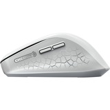 CHERRY JW-8550-0, Souris Blanc