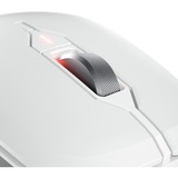 CHERRY JW-8550-0, Souris Blanc