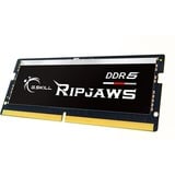 G.Skill 16 Go DDR5-5600, Mémoire vive Noir, F5-5600S4040A16GX1-RS, Ripjaws, XMP