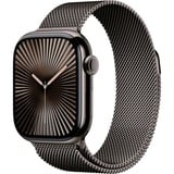 Apple MX053QF/A, Smartwatch Ardoise