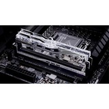 G.Skill F5-8000J4048F24GX2-TR5S, Mémoire vive Argent