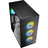 Sharkoon Rebel C50 RGB boîtier midi tower Noir | 2x USB-A | 1x USB-C | RGB | Verre Trempé