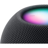 Apple MTJT3D/A, Haut-parleur Noir