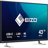 EIZO  42.5" 4K UHD Moniteur  Noir