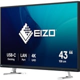 EIZO  42.5" 4K UHD Moniteur  Noir