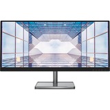 Lenovo L29w-30 73,7 cm (29") 2560 x 1080 pixels Quad HD LED Noir, Argent Moniteur UltraWide  Noir, 73,7 cm (29"), 2560 x 1080 pixels, Quad HD, LED, 6 ms, Noir, Argent