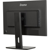 iiyama  24.1" Moniteur  Noir (Mat)