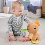 Fisher-Price HYR54, Peluche 