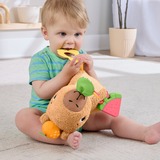 Fisher-Price HYR54, Peluche 