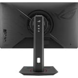 ASUS  24.5" Moniteur gaming  Noir