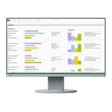 EIZO  23.8" Moniteur  Gris