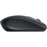 Logitech 910-006929, Souris Graphite