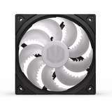 ENDORFY Fluctus 120 PWM ARGB, Ventilateur de boîtier Noir/transparent