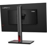 Lenovo  24.5" Moniteur  Noir