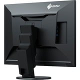 EIZO FlexScan EV2456-BK 24.1" Moniteur  Noir, 61,2 cm (24.1"), 1920 x 1200 pixels, WUXGA, LCD, 5 ms, Noir