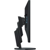 EIZO FlexScan EV2456-BK 24.1" Moniteur  Noir, 61,2 cm (24.1"), 1920 x 1200 pixels, WUXGA, LCD, 5 ms, Noir