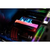 Kingston FURY 48 Go DDR5-8000 Kit - Limited Edition, Mémoire vive Carbone/Rouge, KF580C36RLAK2-48, Renegade RGB, XMP