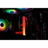 Kingston FURY 48 Go DDR5-8000 Kit - Limited Edition, Mémoire vive Carbone/Rouge, KF580C36RLAK2-48, Renegade RGB, XMP