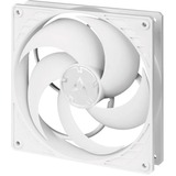 ARCTIC P14 PWM PST, Ventilateur de boîtier Blanc