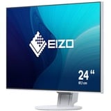 EIZO  24.1" Moniteur  Blanc