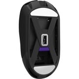 NZXT MS-101NB-01, Souris gaming Noir