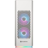 RAIJINTEK  boîtier mini tower Blanc | 2x USB-A | 1x USB-C