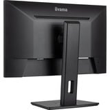 iiyama  23.8" Moniteur  Noir (Mat)