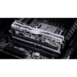 G.Skill F5-8400J4052G24GX2-TR5S, Mémoire vive Argent