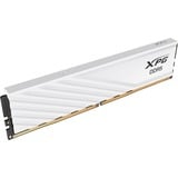 ADATA AX5U6000C4816G-SLABWH, Mémoire vive Blanc