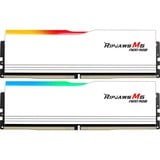 G.Skill F5-6000J3636F16GX2-RM5NRW, Mémoire vive Blanc