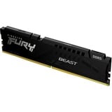 Kingston FURY 16 GO DDR5-5600, Mémoire vive Noir, KF556C36BBE-16, Beast, XMP, EXPO