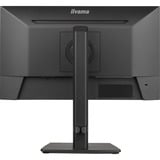 iiyama  21.5" Moniteur  Noir (Mat)