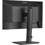 iiyama  21.5" Moniteur  Noir (Mat)