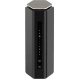 Netgear RS600-100EUS, Routeur 