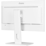 iiyama  23.8" Moniteur  Blanc (mat)