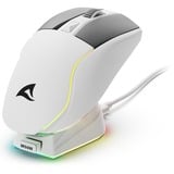 Sharkoon SKILLER SGM50W, Souris gaming Blanc, 400 - 6400 dpi, LED RGB