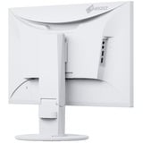 EIZO  23.8" Moniteur  Blanc