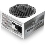 RAIJINTEK , 1200 Watt alimentation  Blanc