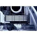 Kingston FURY 32 GO DDR5-5200, Mémoire vive Blanc