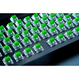 Razer RC21-02040200-R3M1, Switch pour clavier Vert/transparent