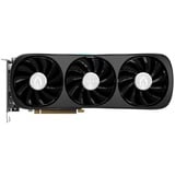 ZOTAC ZT-D40720J-10P, Carte graphique 